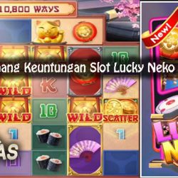 Panduan Menang Keuntungan Slot Lucky Neko Online Resmi