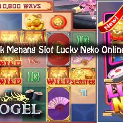 Taktik Terbaik Menang Slot Lucky Neko Online Terpercaya